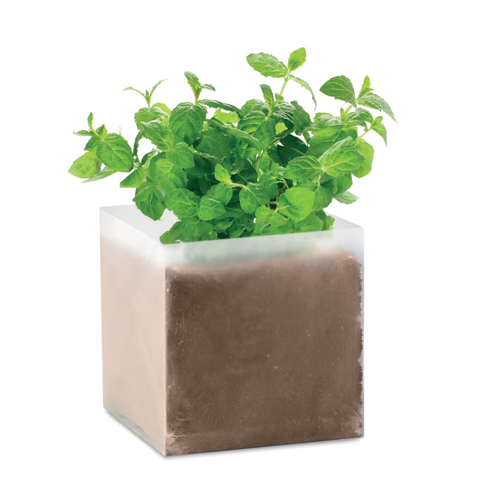 Kompost so semenami Mäta